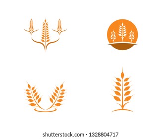 Agriculture wheat Logo Template vector icon design