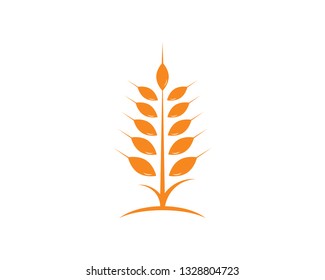 Agriculture wheat Logo Template vector icon design