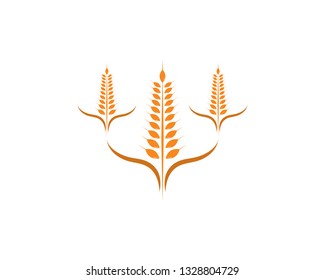 Agriculture wheat Logo Template vector icon design