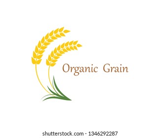 Agriculture wheat Logo Template vector icon design 