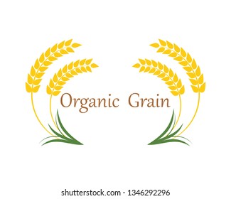 Agriculture wheat Logo Template vector icon design 