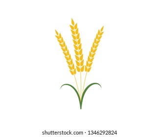 Agriculture wheat Logo Template vector icon design 