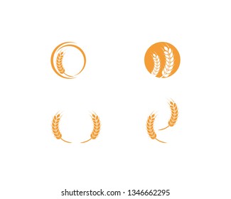 Agriculture wheat Logo Template vector 