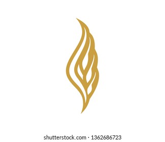 Agriculture wheat Logo Template vector icon design 