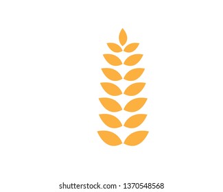 Agriculture wheat Logo Template vector icon design - Vector
