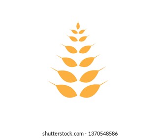 Agriculture wheat Logo Template vector icon design - Vector
