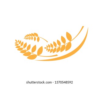 Agriculture wheat Logo Template vector icon design - Vector
