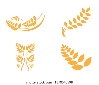 Agriculture wheat Logo Template vector icon design - Vector
