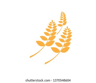 Agriculture wheat Logo Template vector icon design - Vector
