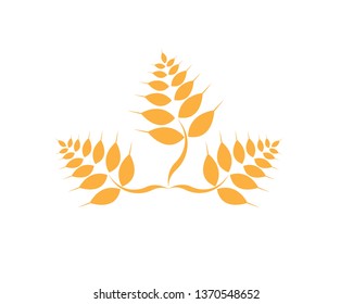 Agriculture wheat Logo Template vector icon design - Vector
