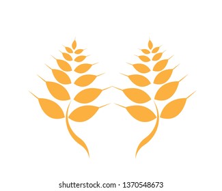 Agriculture wheat Logo Template vector icon design - Vector
