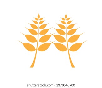 Agriculture wheat Logo Template vector icon design - Vector
