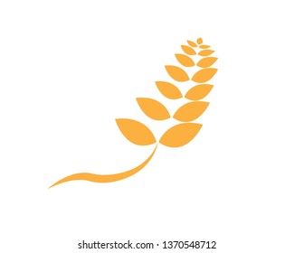Agriculture wheat Logo Template vector icon design - Vector
