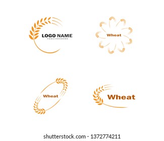 Agriculture wheat Logo Template vector icon design - Vector