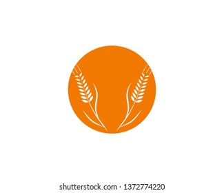 Agriculture wheat Logo Template vector icon design - Vector