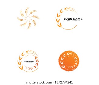 Agriculture wheat Logo Template vector icon design - Vector