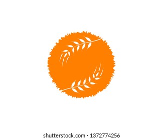 Agriculture wheat Logo Template vector icon design - Vector