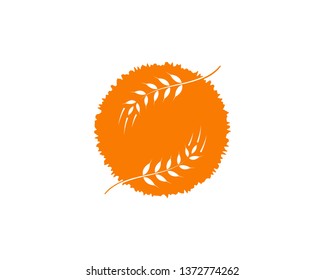 Agriculture wheat Logo Template vector icon design - Vector