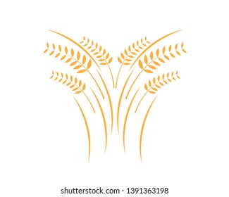 Agriculture wheat Logo Template vector icon design - Vector
