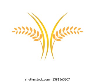 Agriculture wheat Logo Template vector icon design - Vector
