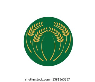 Agriculture wheat Logo Template vector icon design - Vector
