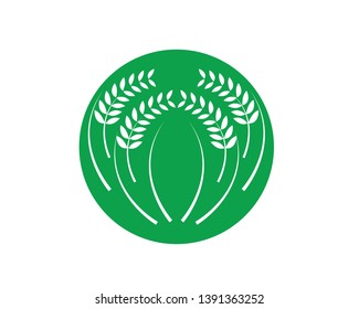Agriculture wheat Logo Template vector icon design - Vector
