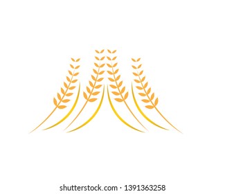 Agriculture wheat Logo Template vector icon design - Vector

