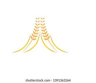 Agriculture wheat Logo Template vector icon design - Vector
