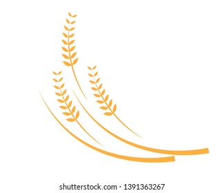Agriculture wheat Logo Template vector icon design - Vector
