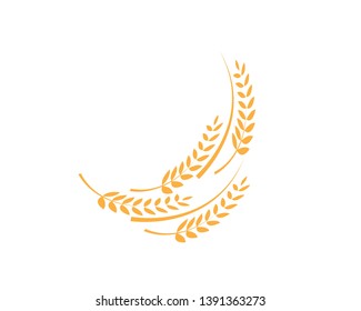 Agriculture wheat Logo Template vector icon design - Vector
