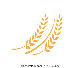 Agriculture wheat Logo Template vector icon design - Vector
