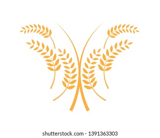 Agriculture wheat Logo Template vector icon design - Vector
