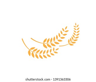 Agriculture wheat Logo Template vector icon design - Vector
