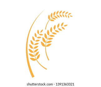 Agriculture wheat Logo Template vector icon design - Vector
