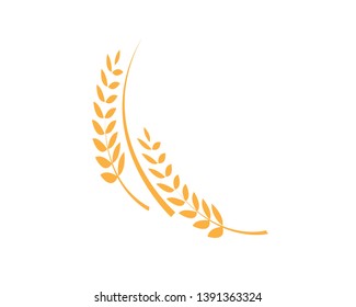 Agriculture wheat Logo Template vector icon design - Vector
