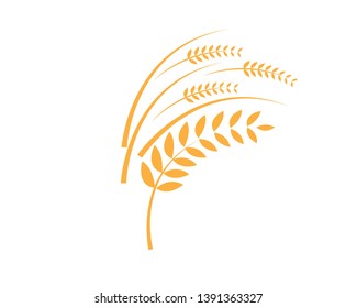 Agriculture wheat Logo Template vector icon design - Vector
