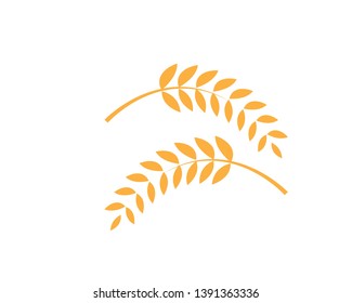 Agriculture wheat Logo Template vector icon design - Vector
