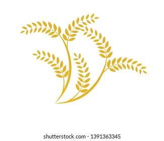 Agriculture wheat Logo Template vector icon design - Vector
