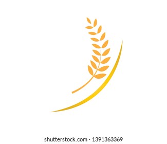 Agriculture wheat Logo Template vector icon design - Vector
