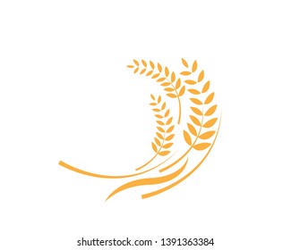 Agriculture wheat Logo Template vector icon design - Vector
