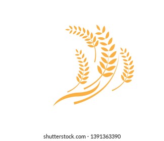 Agriculture wheat Logo Template vector icon design - Vector

