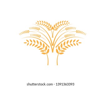 Agriculture wheat Logo Template vector icon design - Vector
