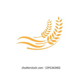 Agriculture wheat Logo Template vector icon design - Vector
