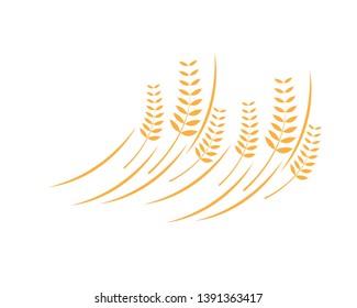 Agriculture wheat Logo Template vector icon design - Vector
