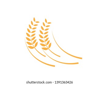 Agriculture wheat Logo Template vector icon design - Vector
