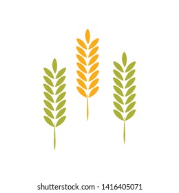Agriculture wheat Logo Template vector icon