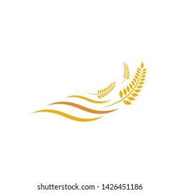 Agriculture wheat Logo Template vector icon design