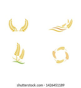 Agriculture wheat Logo Template vector icon design