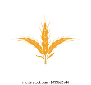 Agriculture wheat Logo. wheat Logo Template vector icon design. Template vector icon design