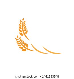 Agriculture wheat Logo Template vector icon design - Vector
